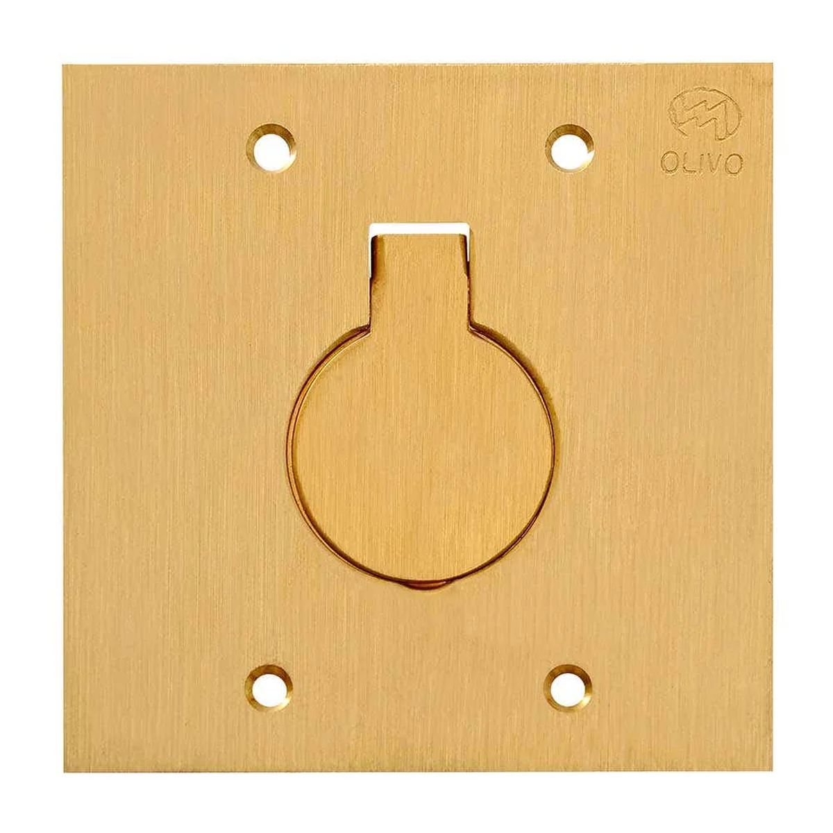 Placa para Caixa de Piso 4x4" 1 Tomada NBR14136 10A Latão PL10/2 Olivo - imagem 1