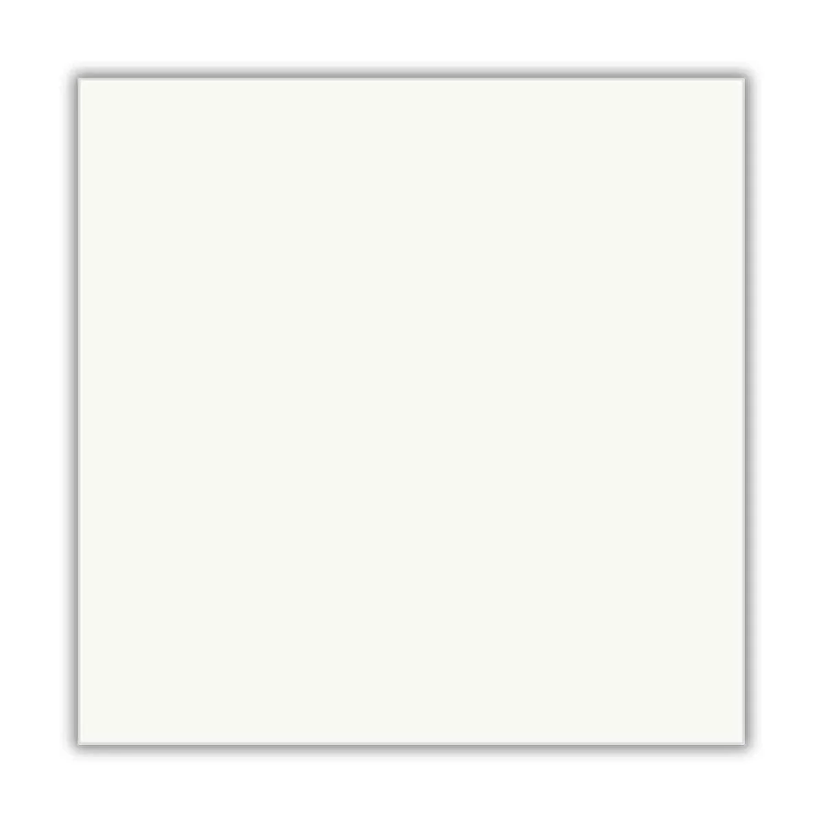 Porcelanato Bianco Retificado Polido Branco 60,5x60,5cm 1,83m2 - imagem 1