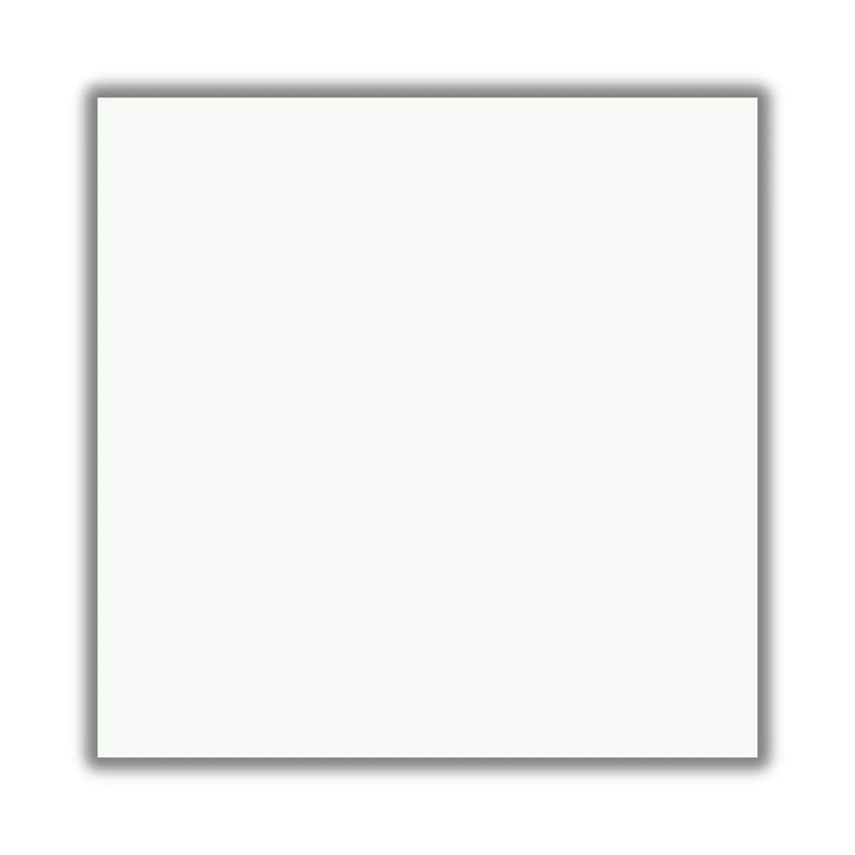 Piso PR7000 Retificado Polido Branco 70x70cm 3,43m2 - imagem 1