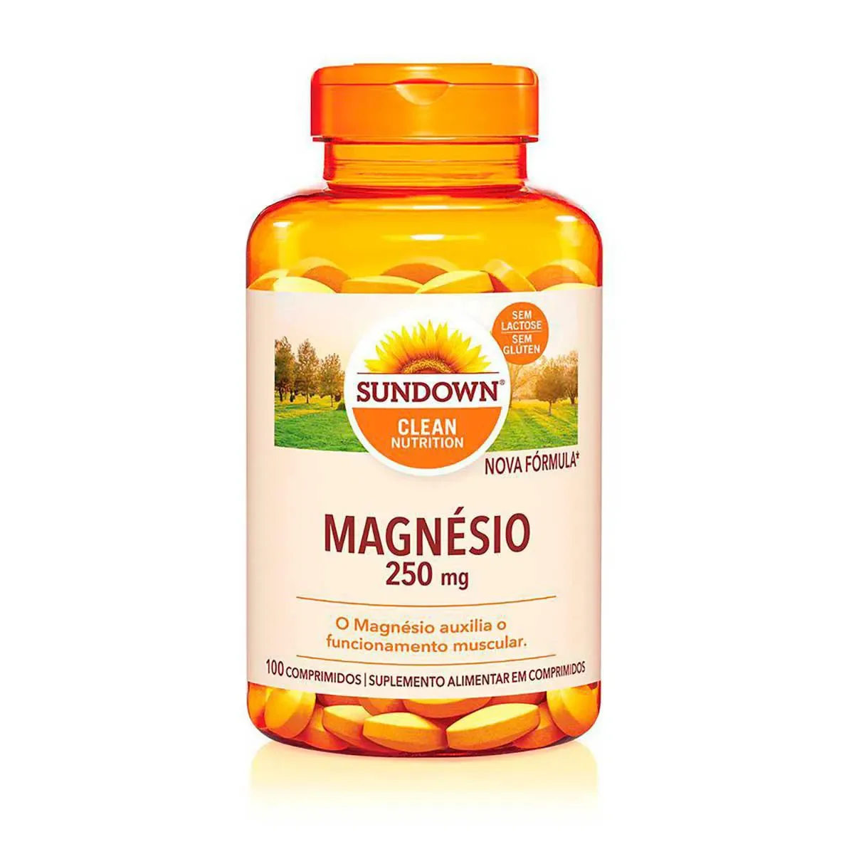 Magnésio Sundown 250mg 100 comprimidos - imagem 1